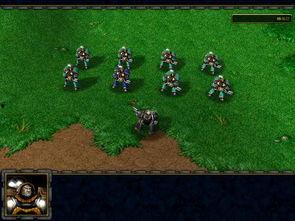 家族争霸之丛林迷雾,丛林迷雾中的权力角逐