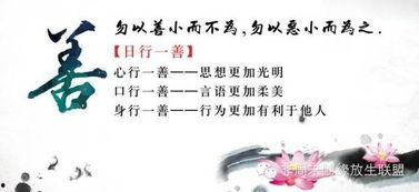 我行我善,践行美德，共创美好未来