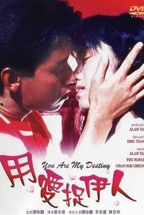 用爱捉伊人,一场温馨浪漫的寻爱之旅